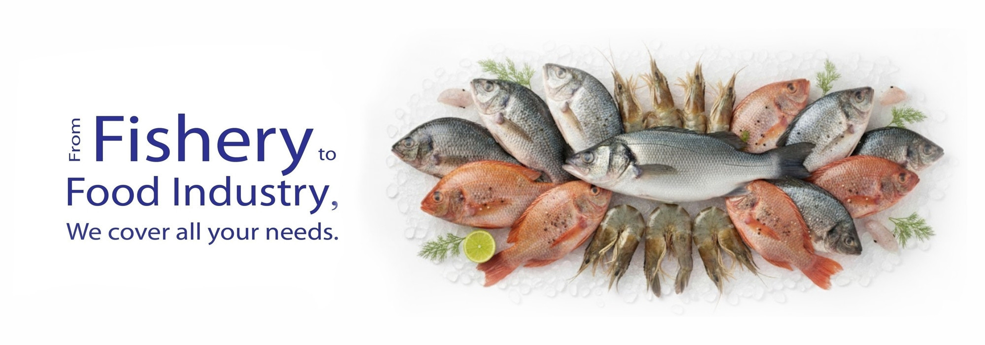 P.T. FOODS PROCESSING CO., LTD.